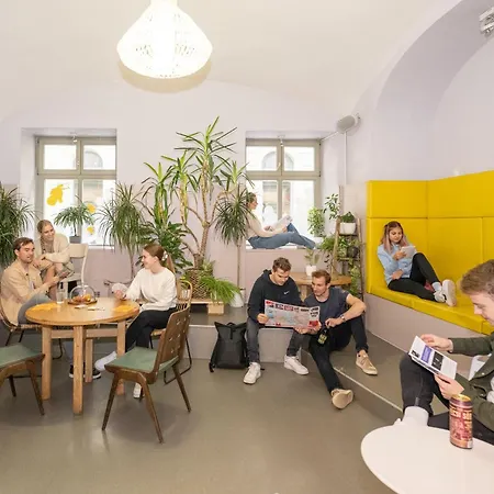 Wombat's بيت شباب *