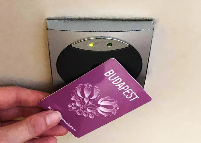 Wombat's * 부다페스트